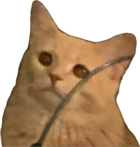 Стикер jojapack - 1