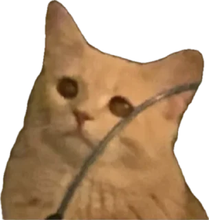 Sticker ЖОЖА - 0