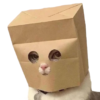 Sticker ЖОЖА - 2