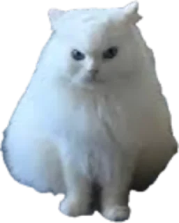 Sticker ЖОЖА - 9