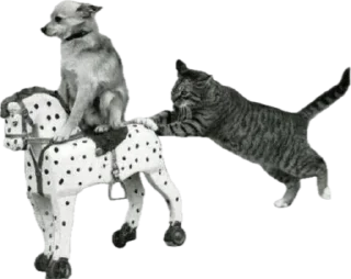 Sticker ЖОЖА - 3