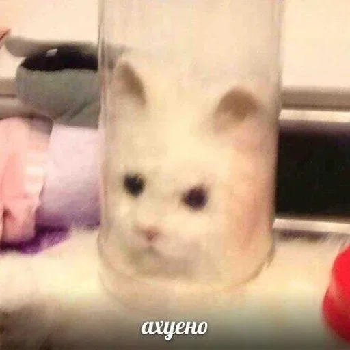 Стикер сдохла когда краш это мать - 11