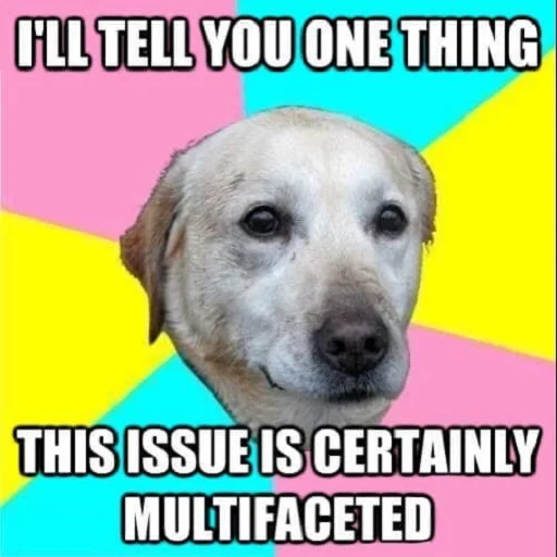 mammal animal dog breed