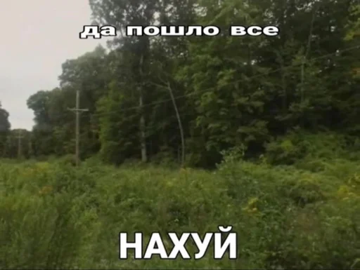 Стикер jomao6 - 1