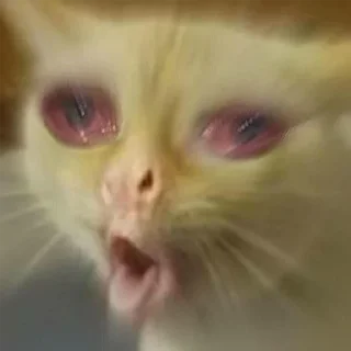 Прелести семейной жизни @claireboucher - человеческое лицо