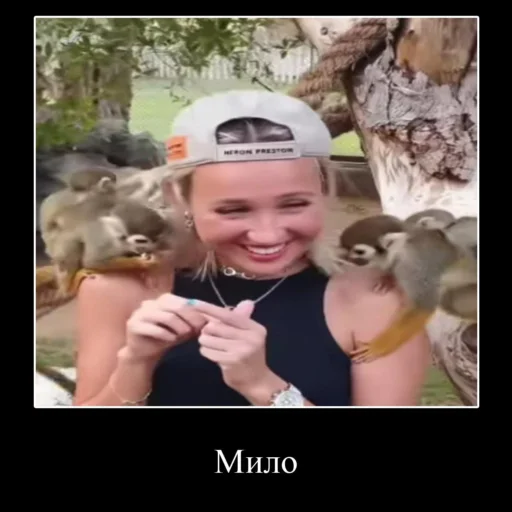 Sticker jokes💌 - 4