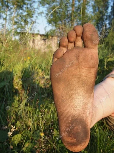 на открытом воздухе трава растение