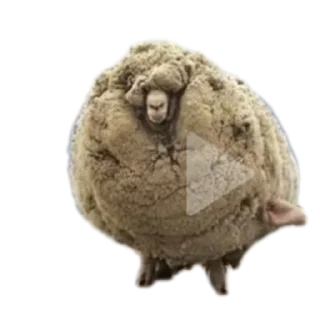 Стикер jopapopa - 1