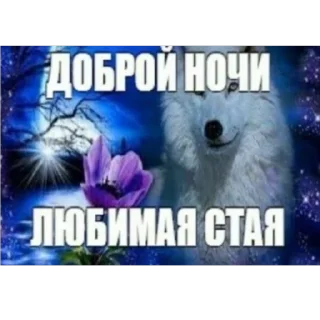 Sticker 🙂‍↕️😜🤟🏻йоу - 9