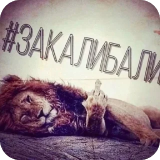 Sticker 🙂‍↕️😜🤟🏻йоу - 1