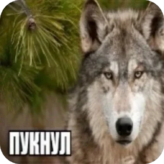 Sticker 🙂‍↕️😜🤟🏻йоу - 6