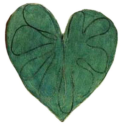 butterfly moths and butterflies green