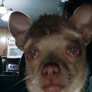 Sticker Больше стиков тут: @stikiin - 5