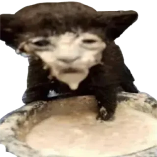 Sticker Больше стиков тут: @stikiin - 2