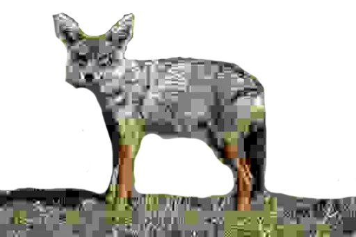 Стикер jpegtop - 1