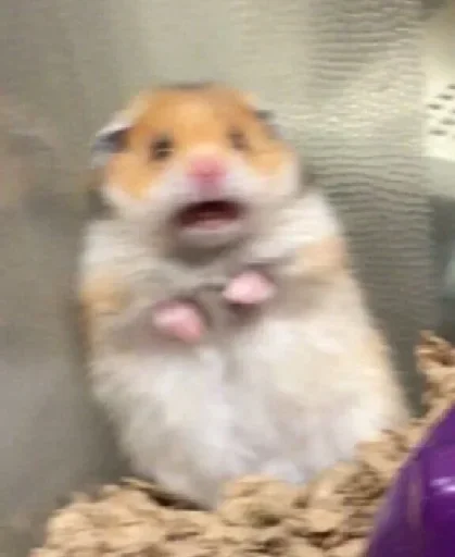 Стикер jsbucuw_by_fStikBot - 1