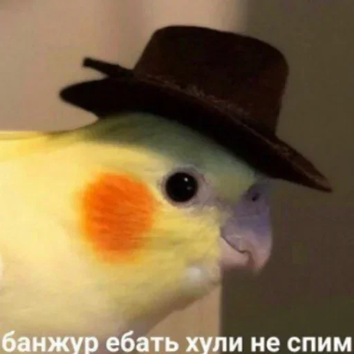 Стикер jsbucuw_by_fStikBot - 1