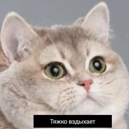 Sticker jsbucuw_by_fStikBot - 1