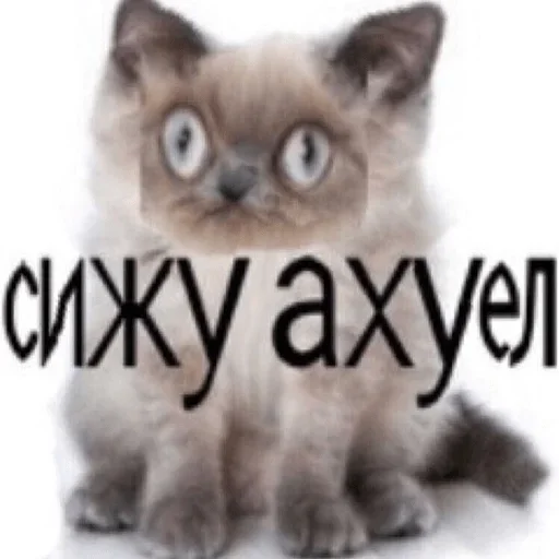 Sticker jsbucuw_by_fStikBot - 1