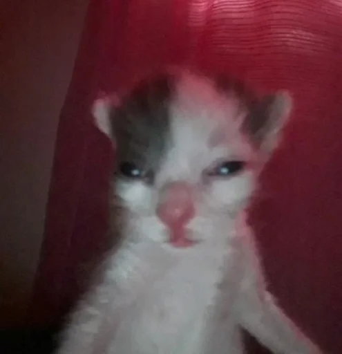 AgleyIdeaYince :: @fStikBot - 