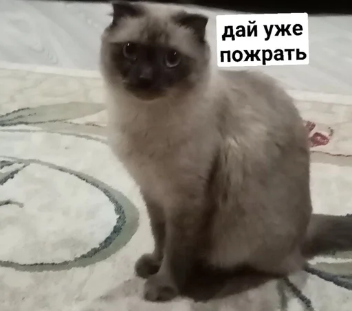 Sticker AgleyIdeaYince :: @fStikBot - 0