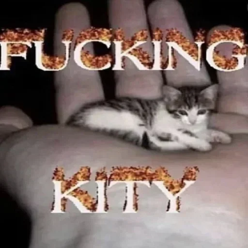 Стикер jukJPDZ_by_achestickbot - 1