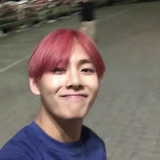 person human face hairpiece