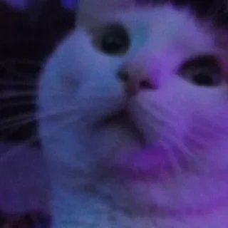 Sticker юля кинн момент - 7