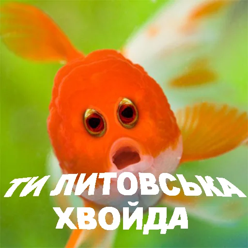 Sticker juliengaver - 1