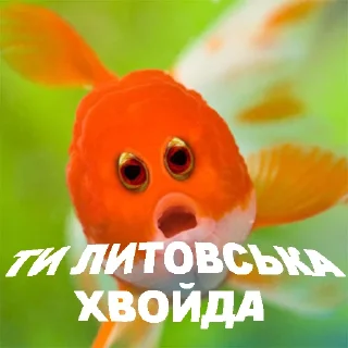 Sticker Oliksandir - 1