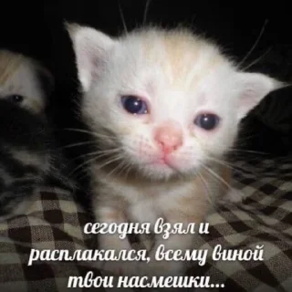 Стикер стикеры от ylanaiowww 0.2!! - 4