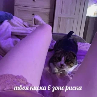 Стикер стикеры от ylanaiowww 0.2!! - 2