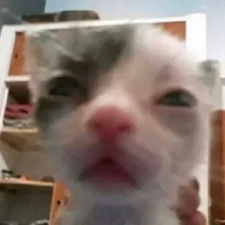 Стикер стикеры от ylanaiowww 0.2!! - 9