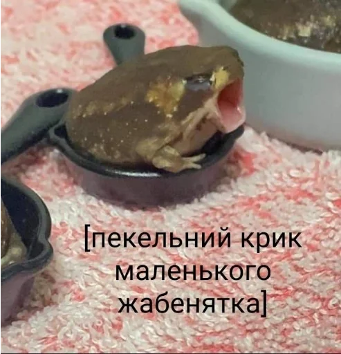 Стикер jmemes - 9