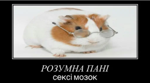 Стикер jmemes - 5