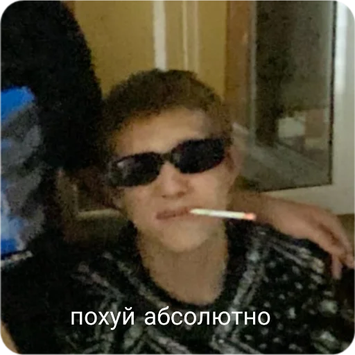 Sticker ФОТОКАРТИНКИ ЖУМБИКА - 7