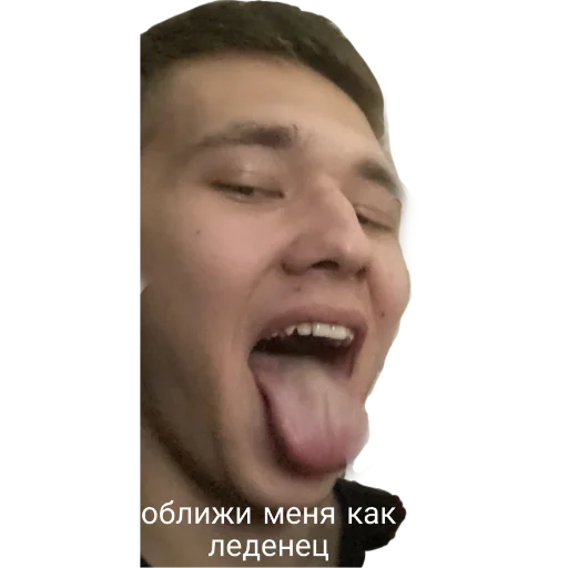 Sticker ФОТОКАРТИНКИ ЖУМБИКА - 5