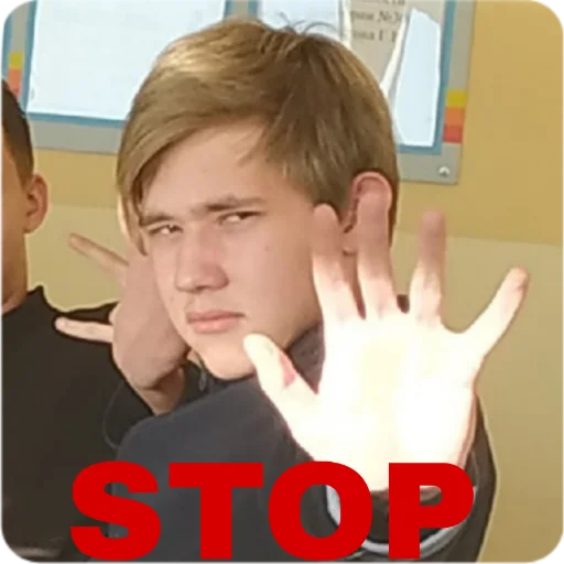 Sticker ФОТОКАРТИНКИ ЖУМБИКА - 2