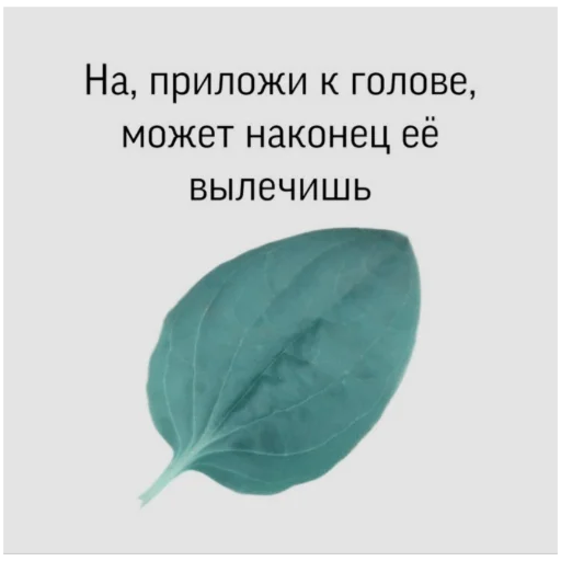 Sticker .°🥛˳• ࣪. 𝐉𝐔𝐍𝐆𝐊𝐎𝐎𝐊 :: @HELPTAETAE - 0