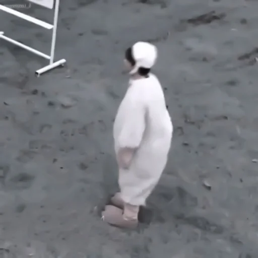 водная птица земля на открытом воздухе