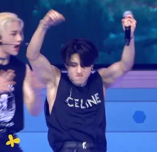 Sticker обычные скз - 10