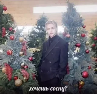 Sticker обычные скз - 5