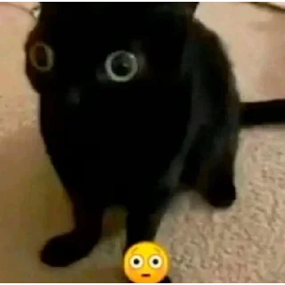 Стикер котики by @justcut3 - 10