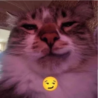 Стикер котики by @justcut3 - 7