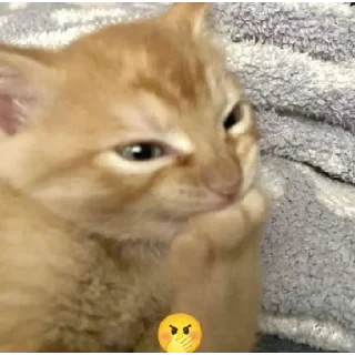 Стикер котики by @justcut3 - 6