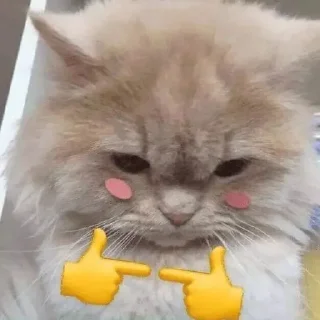 Стикер котики by @justcut3 - 4