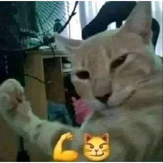 Стикер котики by @justcut3 - 0