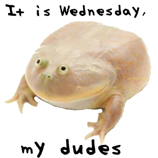 It is wednesday my dudes - 