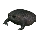 Sticker It is wednesday my dudes - 11