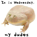Sticker It is wednesday my dudes - 0
